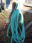 Hose 
