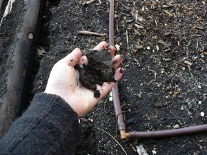 Moist Soil This soil is moist, but still crumbly.