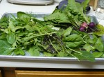The radishes and greens are spread out on a cookie sheet. Look at all that dirt!