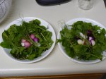 The salads were bright, colorful, and delicious!