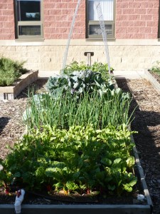 Family of 4 Late May