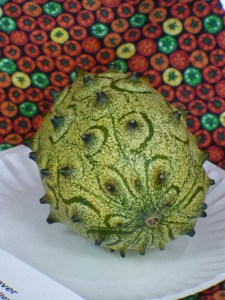Kiwano Melon