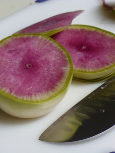 Watermelon Radish 2