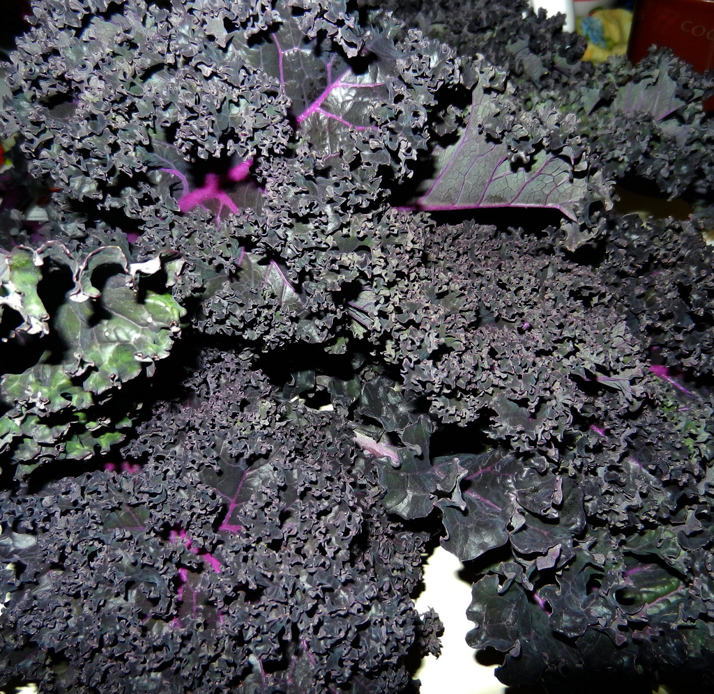 What to Do with&nbsp;Kale?