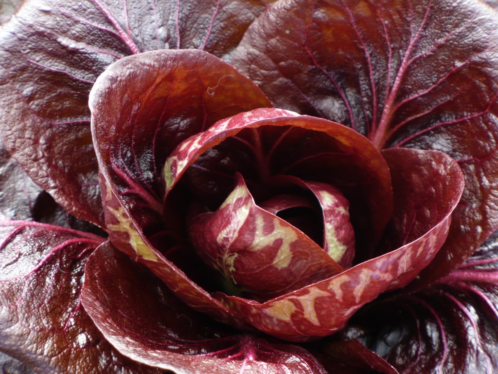 Friday PhotoEssay: A Look Back at&nbsp;2009