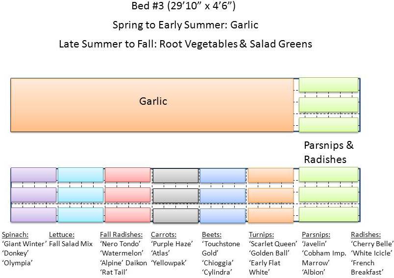 Fall Root Vegetables