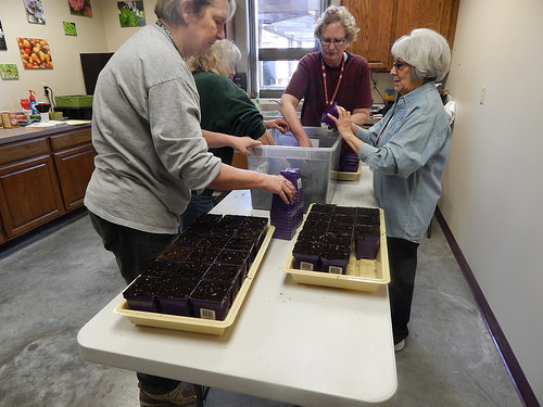 25401547844_f745d1a466