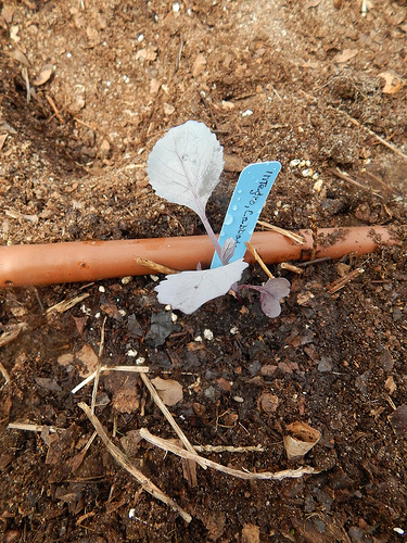 25401573774_b3d729c479