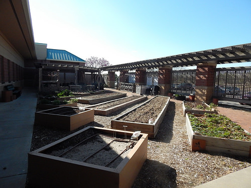 25733540350_f743b80ae9