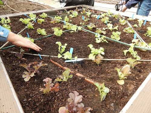 25733558530_41c91d926c