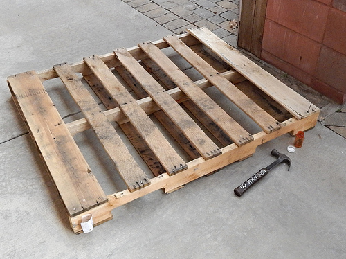 25828561793_c2663cced0