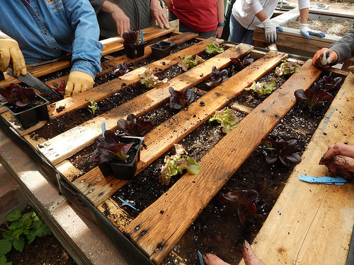 26158512800_7beeae8ab7