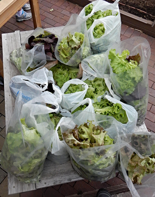 26387428700_874863956c_z