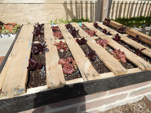 26405785346_011ae93698