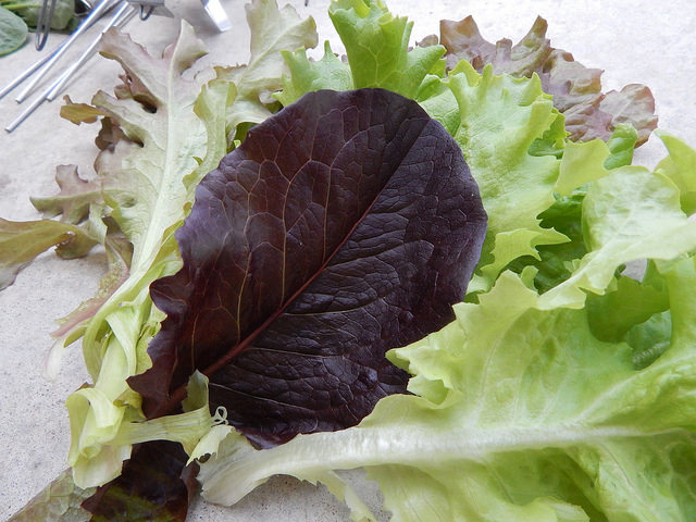 26634056126_488ce18b93_z