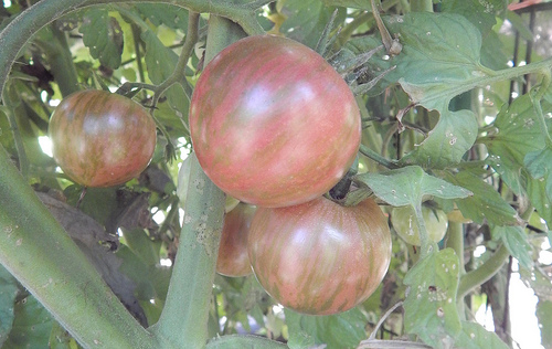 27861613534_a82905f879