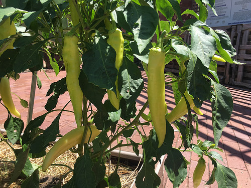 28041839650_631a1733b2