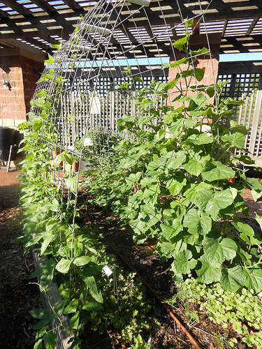 28247003151_3433aeda65