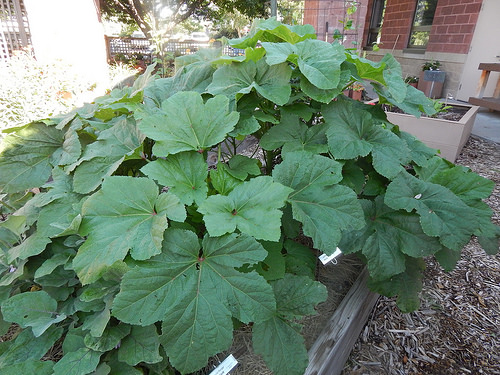 28325457545_aa71fc5e8f