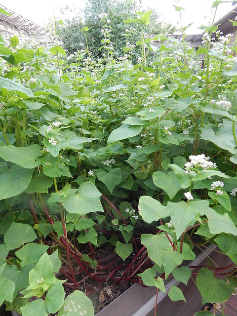 28445083766_63e803fe57_z