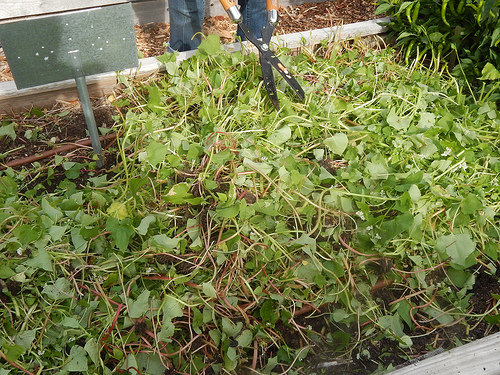 28124954224_1cae23ddae