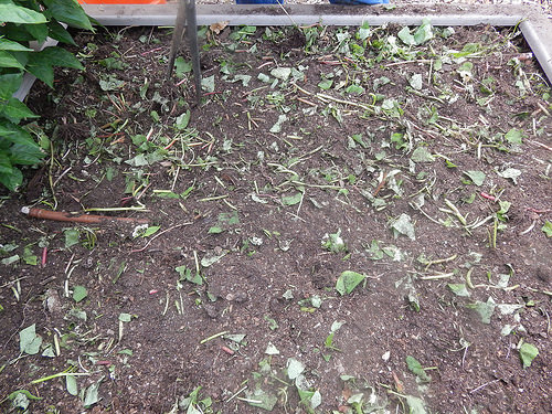 28742586545_6c006ca279