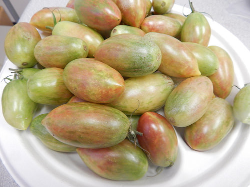 28804461070_091415e232