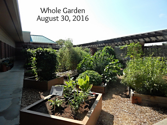 29307739796_b3a214cf03_z