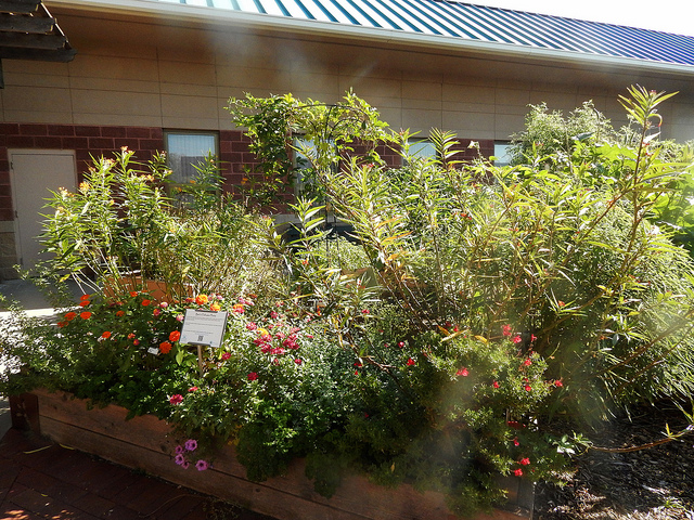 29841977936_1a3e6da1c9_z