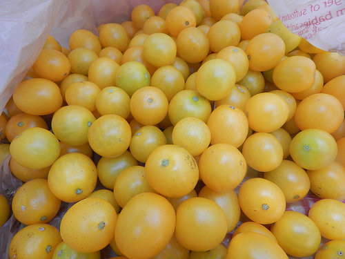 29262598361_a797c5790a