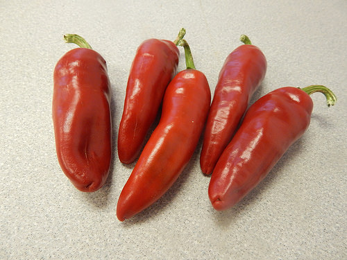 29951792106_ec5af89a3a