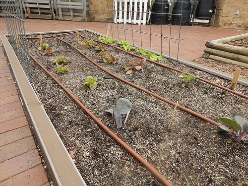 33742337345_7d221b99e1