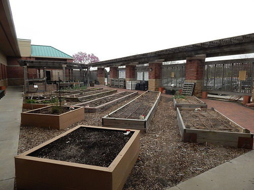 33742353865_00d3d30728