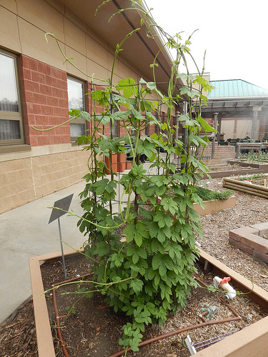 33334844754_e9a37821ae