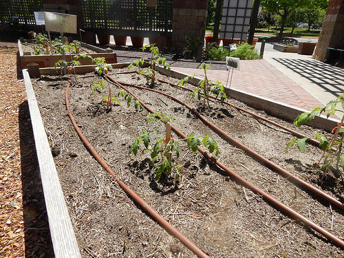 33807911803_e4344969fa