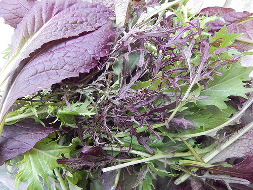 34089420810_b1e36a6b7c