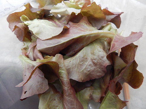 34089425690_7468d85ed5