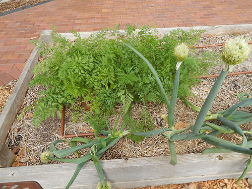 34089442010_59c9a47d0f