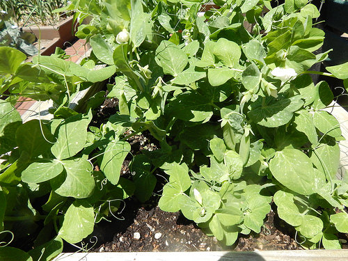 34231788430_65499ea637