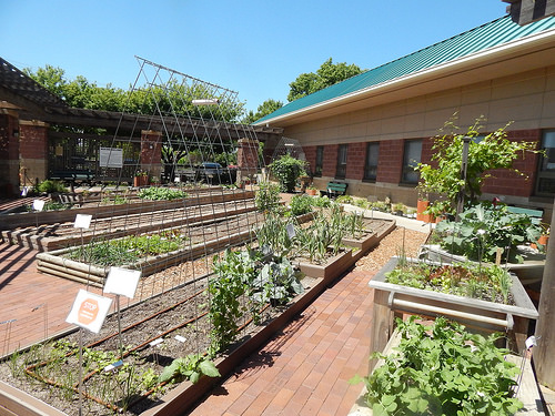 Friday PhotoEssay – May 12,&nbsp;2017