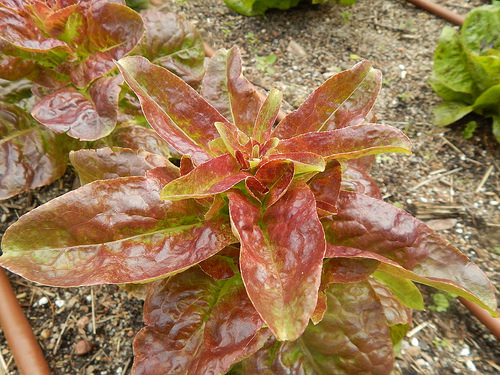 34344105431_c9d314e282