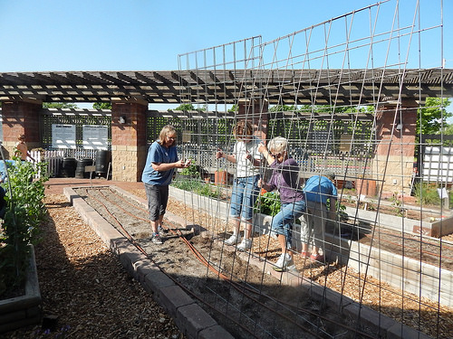 34561246082_4759b39366