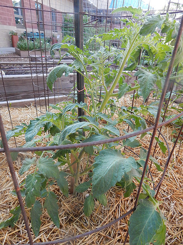 35010665386_14e1e28fb7