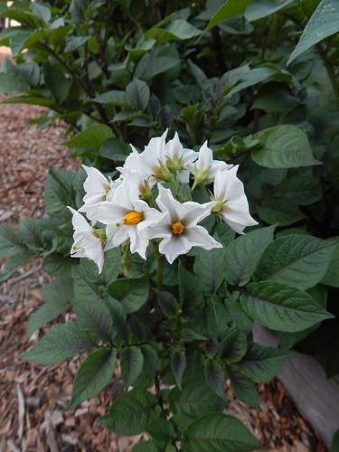 35031904862_bbb559f4d7