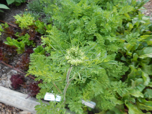 35031914982_90a4d01203