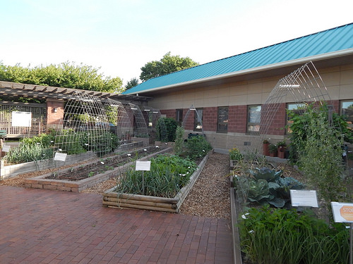 35031930602_45365981f0