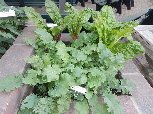 35197347145_3553f919a0