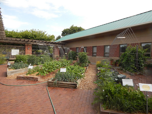 35446106376_acaed67120