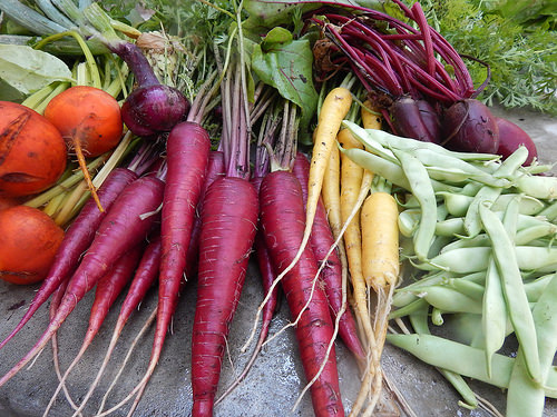 35609780165_a5ce4d26f7