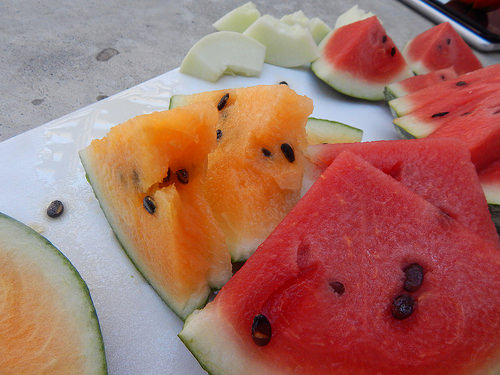 35788277090_9c5c29a090